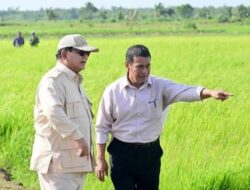 Piawai Tangani Pangan, Prabowo Tunjuk Sosok Tepat Amran Sulaiman Pimpin Bapanas