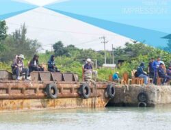 Ratusan Angler PT. Timah Meriahkan Fishing Competition 2026 di Sungailiat