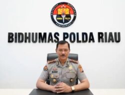 Kasus Perburuan Gajah di Pelalawan, Terancam Pidana  Berat, Polda Riau Buru Para Pelaku