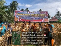 Dukung Swasembada Pangan Melalui Panen Raya Jagung di Gunung Toar