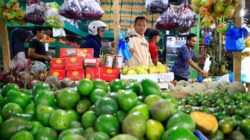 Ekonomi Masyarakat Aceh Tamiang Mulai Bangkit Pascabencana