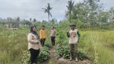 Peran aktiv Bhabinkamtibmas Harapan Jaya  Mendapingi  Warga, Demi terwujudnya  Swasembada Ketahanan Pangan di Tempuling