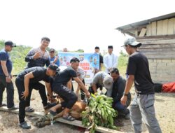 Polres Kuansing Potong 11 Ekor Sapi, Bagikan 650 Paket Daging Qurban kepada Masyarakat