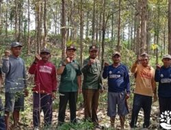Perhutani Sinergi Bersama Masyarakat Demi Menciptakan Kawasan Hutan Selalu Terjaga
