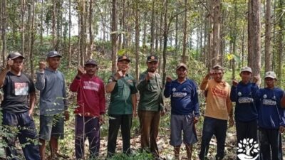 Perhutani Sinergi Bersama Masyarakat Demi Menciptakan Kawasan Hutan Selalu Terjaga