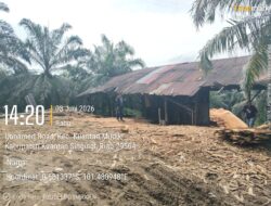 Polsek Kuantan Mudik Cek Dugaan Aktivitas Sawmill di Desa Kasang, Tidak Ditemukan Kegiatan Pengolahan Kayu