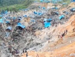WN China Menjadi Tersangka Sindikat Tambang Ilegal di Maluku