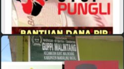 Dugaan Pungli di MTs GUPPI Malintang Meledak, Picu Gelombang Kemarahan Publik