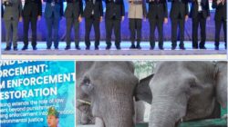 Bicara di Forum IMT-GT, Kapolda Riau: Kerusakan Lingkungan Pada Akhirnya Menjadi Ancaman Keamanan