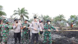 Cegah Karhutla Meluas, Wakapolda Riau dan Irdam XIX/TT Turun Langsung Padamkan Api di Pasir Limau Kapas