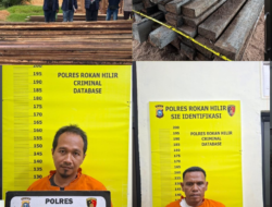 Tindak Tegas Pembalakan Liar di Sinaboi, Polres Rohil Amankan 2 Tersangka, dan Sita Ratusan Batang Kayu