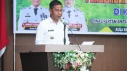 Hortikultura Menggeliat, Ekonomi Masyarakat Kampar Bergerak