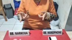 Satresnarkoba Polres Kampar Tangkap IRT Jual Sabu-sabu di Desa Bukit Kemuning 