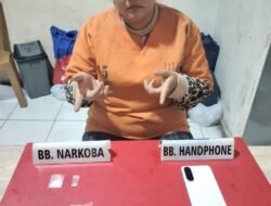 Satresnarkoba Polres Kampar Tangkap IRT Jual Sabu-sabu di Desa Bukit Kemuning 
