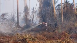 Kapolres Inhil Pimpin Verifikasi dan Pemadaman Karhutla di Belantaraya, 7 Hektare Lahan Terbakar