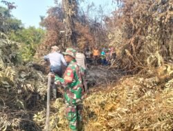 Kodam XIX/Tuanku Tambusai Perkuat Penanganan Karhutla di Wilayah Indragiri Hilir