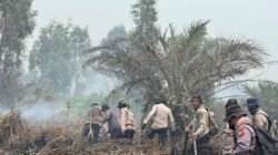 Bertambah, Polda Riau Kini Tangani 45 Kasus Karhutla, 49 Orang Jadi Tersangka