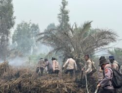 Bertambah, Polda Riau Kini Tangani 45 Kasus Karhutla, 49 Orang Jadi Tersangka