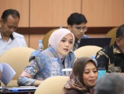 Cerint Iralloza Tasya Dorong APBN 2027 Perhatikan Tenaga Kesehatan, Pendidikan dan Hibah Aset RSUD Agam   