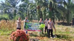 Tanam 210 Pohon, Polsek Rimba Melintang Jalankan Program Green Policing di Tengah Masyarakat