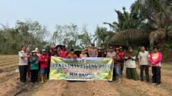 Polsek Pangean Dukung Ketahanan Pangan, Tanam Jagung Pipil di Desa Sukaping