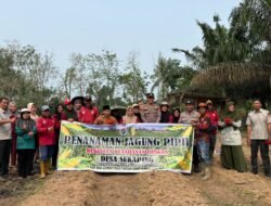 Polsek Pangean Dukung Ketahanan Pangan, Tanam Jagung Pipil di Desa Sukaping