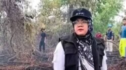 Lokasi Karhutla, Bupati Siak Murka, Temukan Jejak Penebang Pohon