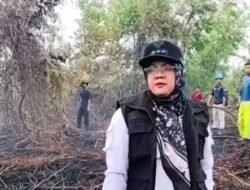 Lokasi Karhutla, Bupati Siak Murka, Temukan Jejak Penebang Pohon