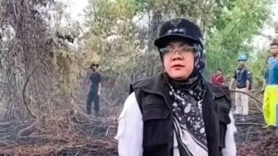 Lokasi Karhutla, Bupati Siak Murka, Temukan Jejak Penebang Pohon