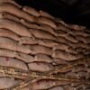 Impor Ilegal 49,85 Ton Kacang Asal India, Dibongkar PMJ