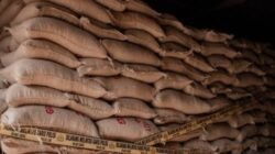 Impor Ilegal 49,85 Ton Kacang Asal India, Dibongkar PMJ