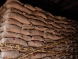 Impor Ilegal 49,85 Ton Kacang Asal India, Dibongkar PMJ