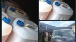 Dugaan Penimbunan Solar Subsidi di Bagan Sinembah Terbongkar, Pemilik Gudang Menolak Berikan Keterangan