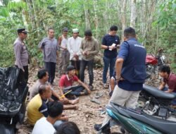 Razia Gabungan di Tanah Putih Rokan Hilir, 7 Orang Positif Narkoba Diamankan   