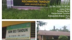 Miris! SDN 003 Tandun Rokan Hulu Rusak Parah, Dana BOSP Dipertanyakan?