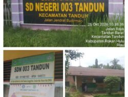 Miris! SDN 003 Tandun Rokan Hulu Rusak Parah, Dana BOSP Dipertanyakan?