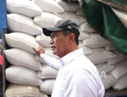Kasus Beras SPHP Oplosan, Amran Jika Terbukti Pecat Pegawai Bulog