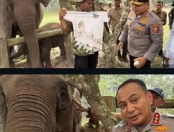 Pamit dari Riau, Komjen Herry Heryawan Titip Pesan Lestarikan Gajah dan Alam